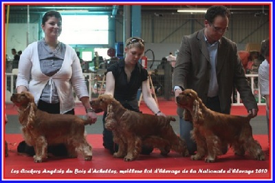 du Bois d'Achelles - Nationale d'Elevage 2010